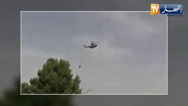 دفاع: مفارز للجيش الوطني تقوم بإخماد حرائق غابية بجبال تاورة في سوق أهراس