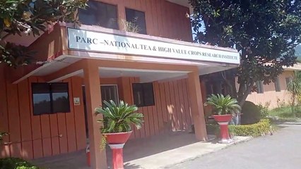 shankiari  Research center Travelogue Dr Raja Kashif Janjua   2021-08-22