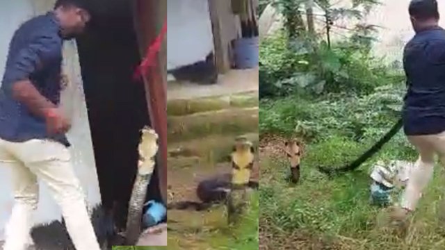 14 ಅಡಿ ಉದ್ದದ ಕಾಳಿಂಗ ಸರ್ಪ ರಕ್ಷಣೆ ಮಾಡೋ ಸಮಯದಲ್ಲಿ ನಾಗರಾಜನ ದಾಳಿ | Oneindia Kannada