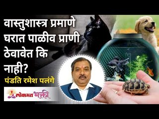 वास्तुशास्त्र प्रमाणे घरात पाळीव प्राणी ठेवावे की नाही? VastuShastra - Pets in Home | Ramesh Palange