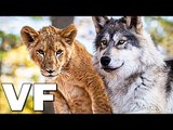 LE LOUP ET LE LION Bande Annonce VF (2021)