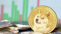 Thodex'in ardından bu kez 1 milyar liralık Dogecoin vurgunu! 12 kişi hakkında yakalama kararı çıkarıldı