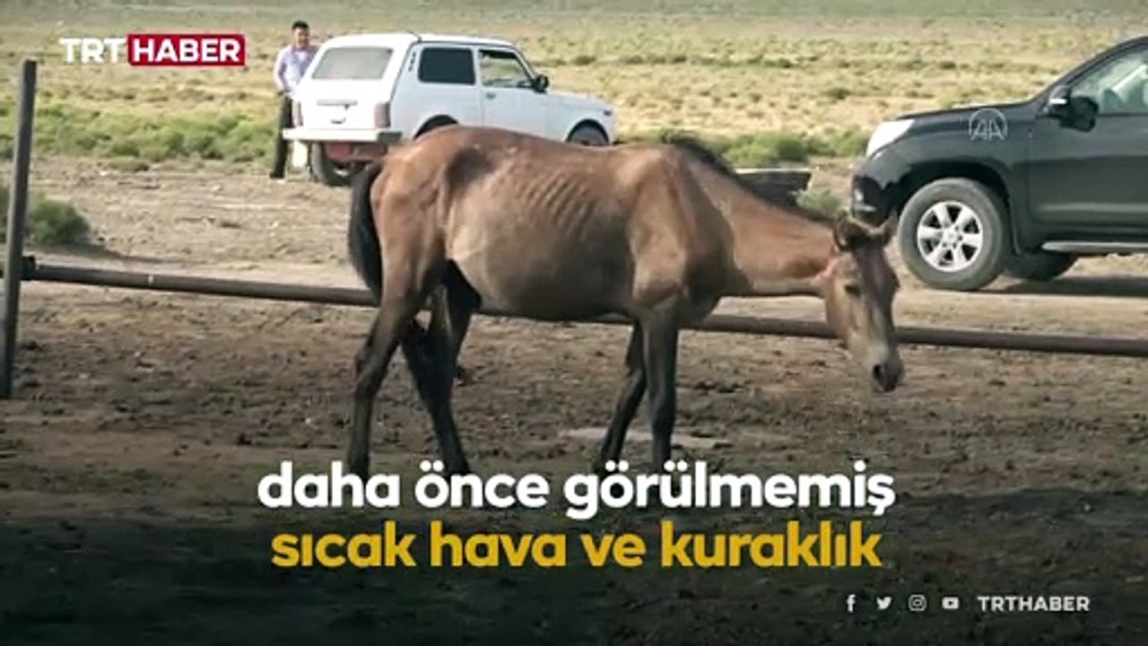 Kazakistan’da iklim krizi: 178 bin hektar tahıl alanı kurudu