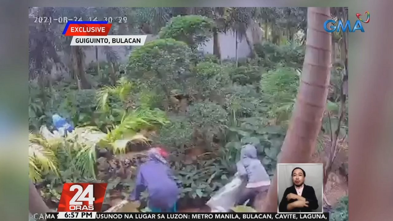 Hindi bababa sa P10-K halaga ng mga halaman, ninakaw ng tatlong hindi pa nakikilalang salarin | 24 Oras