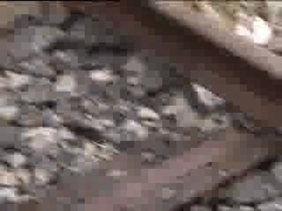 kids loop train