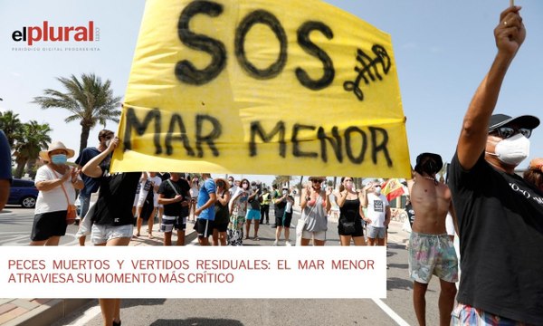 Peces muertos y vertidos residuales: El Mar Menor atraviesa su momento más crítico