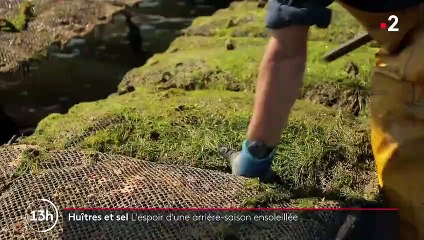 Noirmoutier : le mauvais temps perturbe la récolte des ostréiculteurs et des sauniers