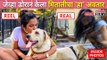 जेव्हा डोरानं केला मितालीचा 'हा' अवतार | Mitali Mayekar and Pet Dora Fun | Lokmat CNX Filmy
