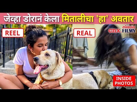 जेव्हा डोरानं केला मितालीचा 'हा' अवतार | Mitali Mayekar and Pet Dora Fun | Lokmat CNX Filmy