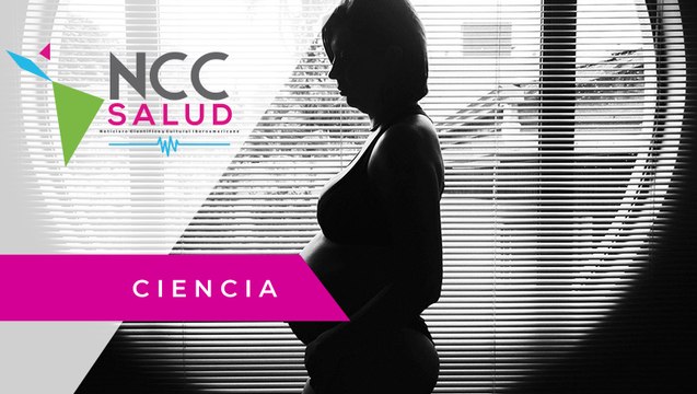 En el mundo se registran 23 millones de abortos espontáneos al año