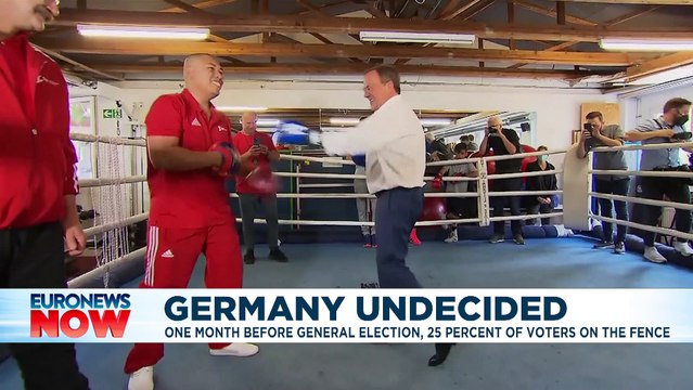 German election polls: Who is leading the race to replace Merkel?