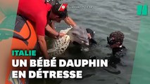 En Italie, des garde-côtes sauvent un bébé dauphin pris au piège dans un filet