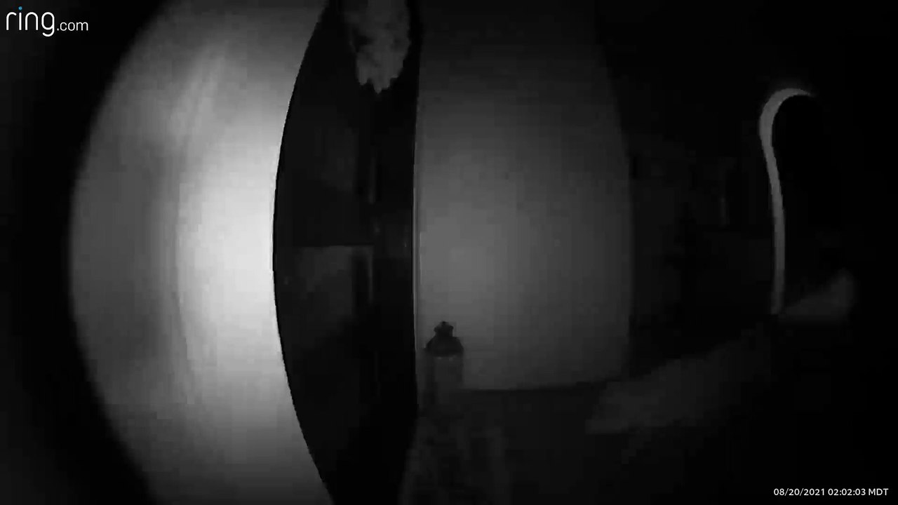 Mountain Lion Visits Front Door