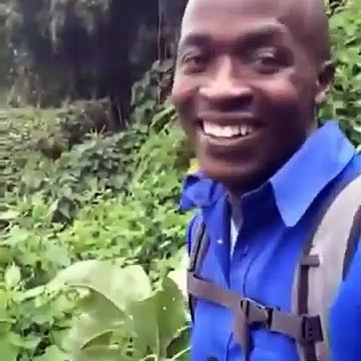 Meme 'Okay-