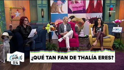¡Lalo Carrillo demuestra que es el fan más fan de Thalía!