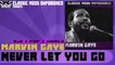 Marvin Gaye - Never Let you Go [1961]