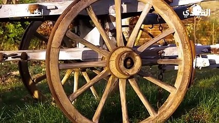 تعرفوا على تاريخ صناعة العجلة عبر العصور وكيف غيرت شكل العالم