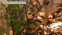 شاهد: رجال الإطفاء يصارعون في إخماد النيران المستعرة في شمال شرق كاليفورنيا
