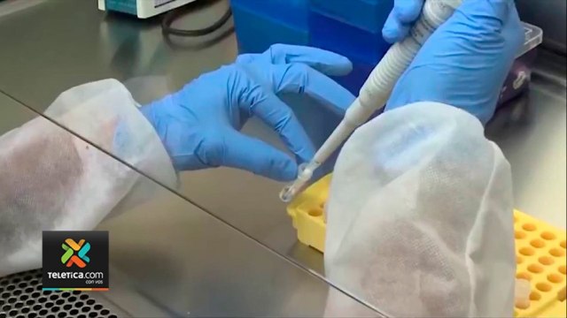 tn7-alajuela-y-guanacaste-reportan-mas-casos-que-resto-del-pais-260821