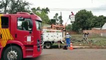 Equipes da Copel e do Corpo de Bombeiros realizam poda de árvore na Avenida Uirapuru