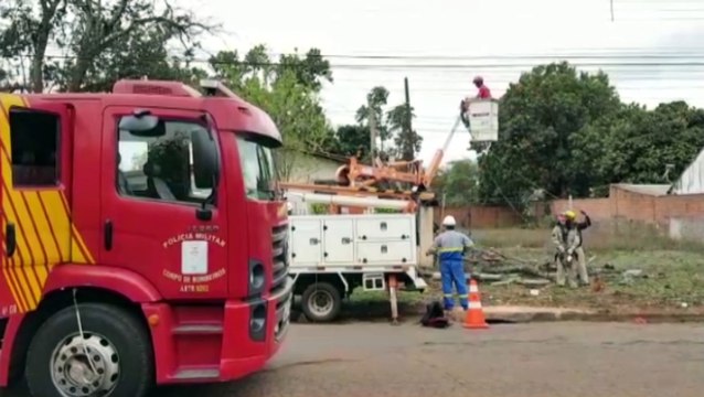 Equipes da Copel e do Corpo de Bombeiros realizam poda de árvore na Avenida Uirapuru