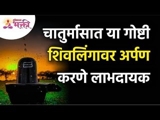 चातुर्मासात या गोष्टी शिवलिंगावर अर्पण करणे लाभदायक | Your offerings to shivlinga during Chaturmas