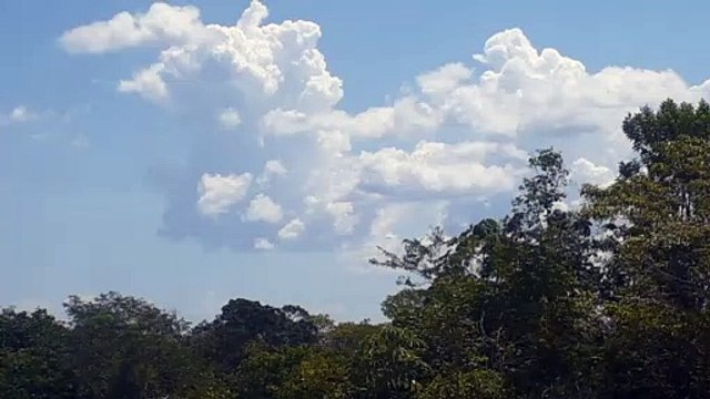 Airbus A330 PR-AIU na aproximação final antes de pousar em Manaus vindo de Campinas