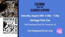 It’s Evening with the Clouded Leopards at Heritage Park Zoological Sanctuary