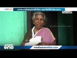 പാറപൊട്ടിക്കുന്നതിനിടെ ക്വാറിയില്‍ അപകടം; കല്ല് തെറിച്ച് വീണ് വീട്ടമ്മയ്ക്ക് പരിക്ക്