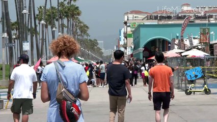 The Office's Kevin Malone's Hilarious New Parody Campaign with 'Got Milk'