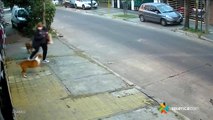 ext-testimonio-perros pitbull rodearon y atacaron a una mujer-260821