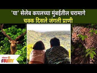 Wild Animal Sightings Outside Celeb Couple House | मुंबई शहरात कधी काय होईल सांगता येत नाही