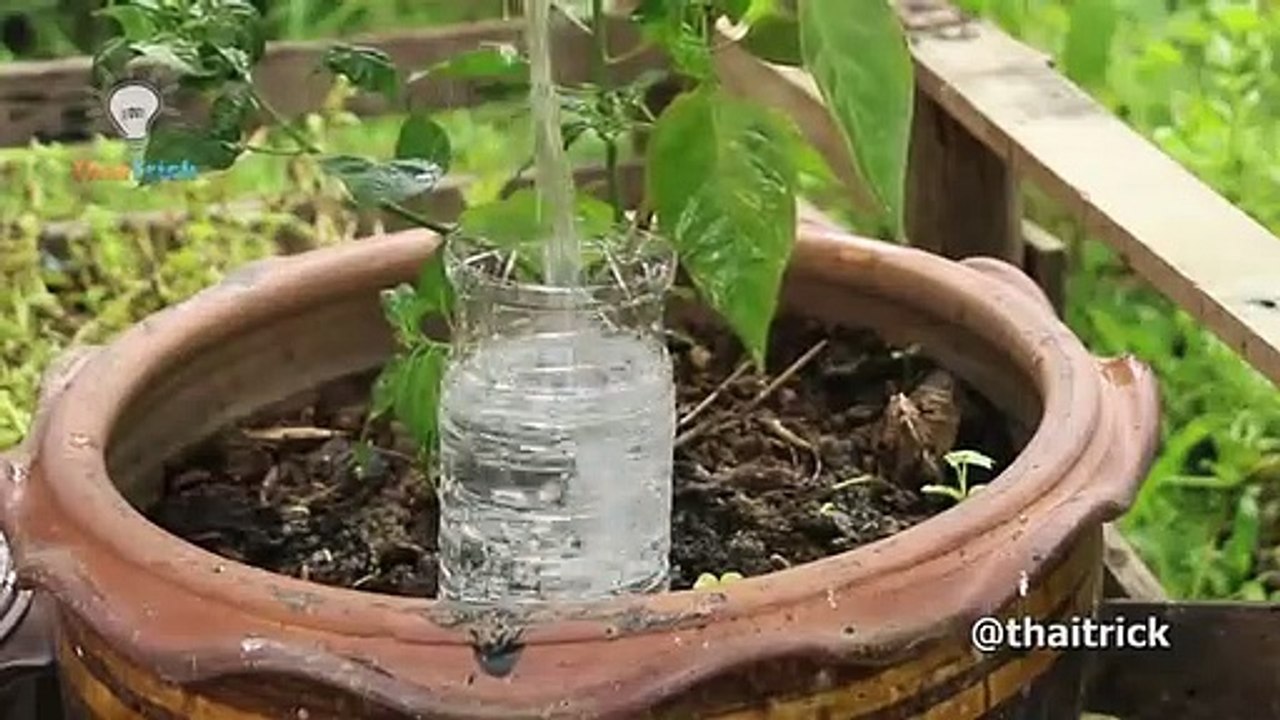 38 Creative Ideas with Plastic Bottles