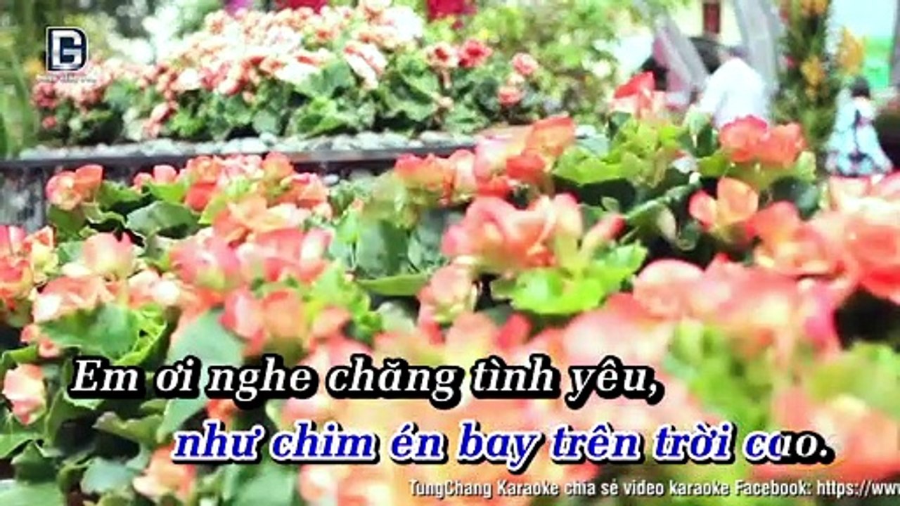 Loi To Tinh Mua Xuan - Quang Dung