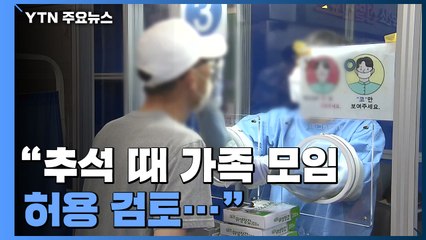 [더뉴스] "추석 때 가족 모임 허용 검토"...거리두기 효과 논란 / YTN