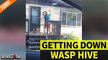 'Family Man Bravely Knocks a Wasp Hive Down'