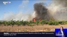 Incendie: une centaine d'hectares de garrigue et de résineux détruits près de Perpignan