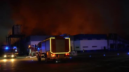 Espectacular incendio en una central hortofrutícola en Mérida