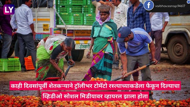 Nashik Farmers Threw Crates Of Tomatoes On The Road: टोमॅटोला कमी भाव मिळाल्यामुळे बाजार समितीच्या आवारात टोमॅटो टाकून शेतकऱ्यांचा संताप