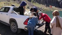 Sat Buzul Göllerine 60 bin sazan balığı bırakıldı