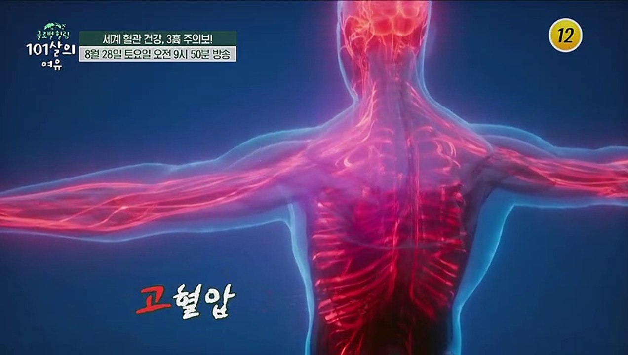 세계 혈관 건강, 3高 주의보!_글로벌 힐링 101살의 여유 9회 예고 TV CHOS...