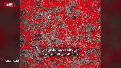 ...تضغط مرابط هى على العشب بوزن مئة وسبعين ...