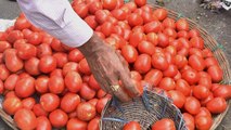 Maharashtra: Farmers dump tomatoes during protest at Nagpur-Mumbai highway