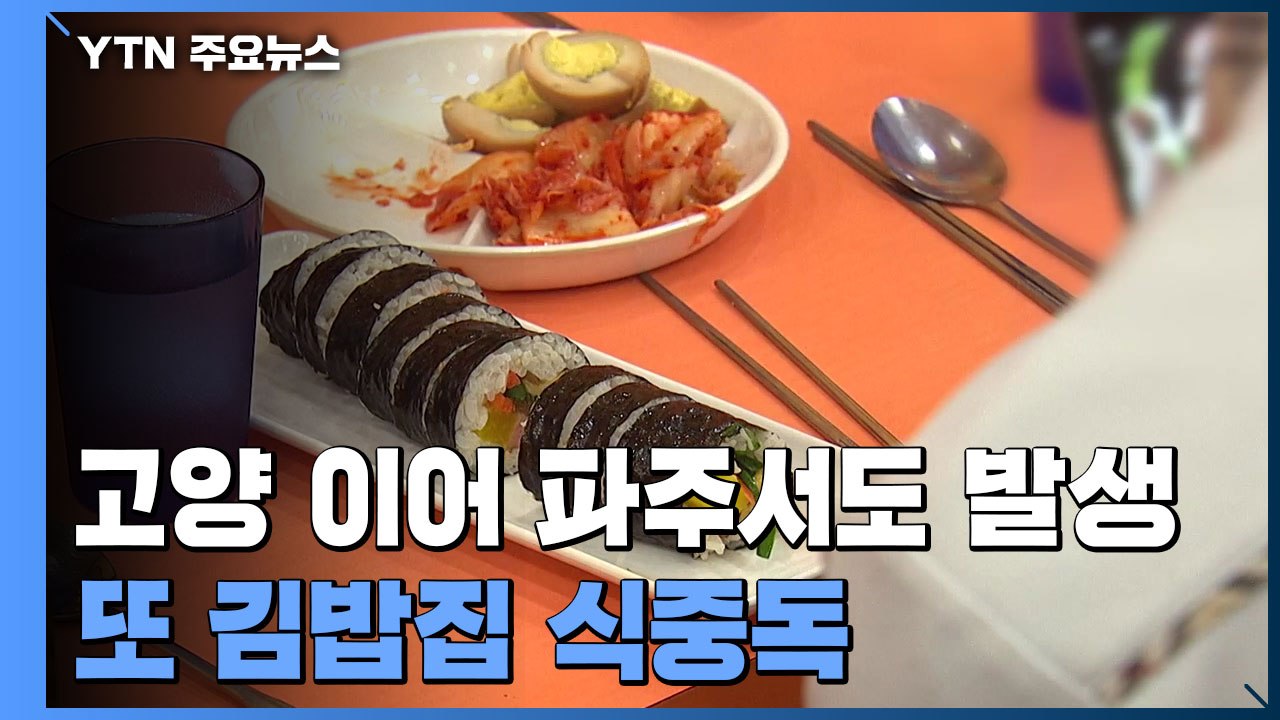 파주서도 김밥집 식중독...위생 철저 필요 / YTN