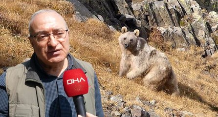 Profesörün, evine dadanan bozayı ile başı dertte!