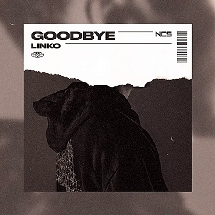 Goodbye ❤️