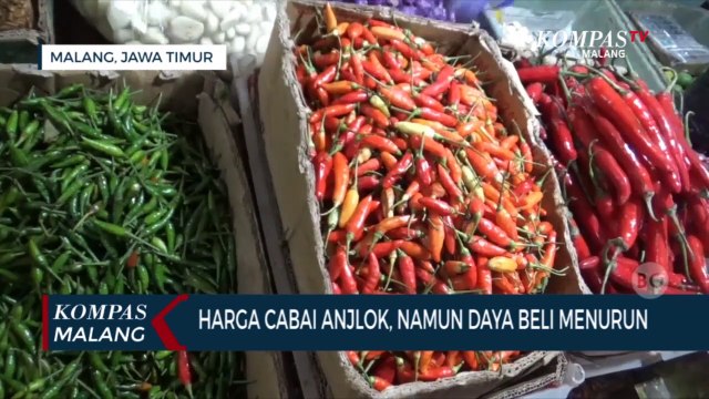 Harga Cabai Rawit di Pasar Tradisional Anjlok