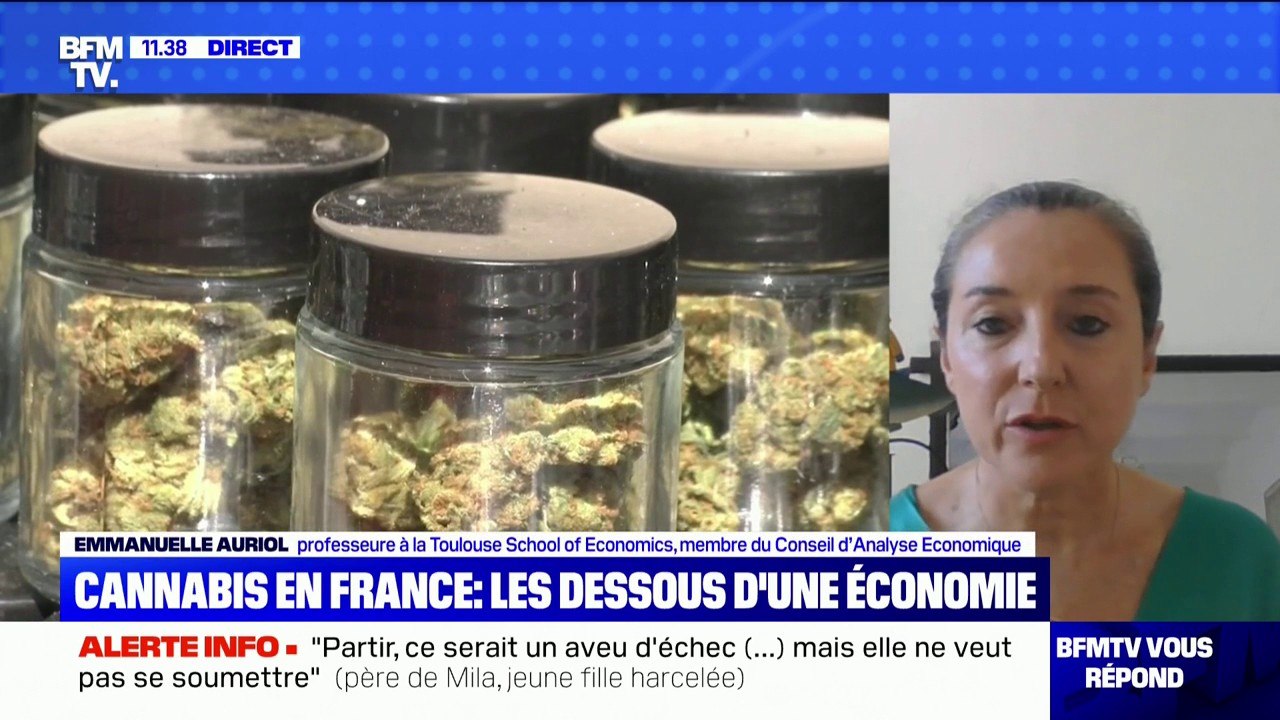 Quels sont les dessous de l'économie du cannabis ? BFMTV répond à vos questions