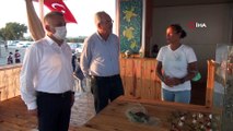 Deniz kaplumbağaları Vali Yazıcı’nın elleriyle denizle buluştu