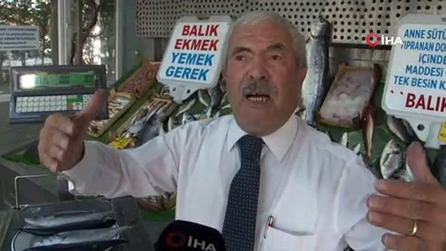 Denizlerde av yasağı kalkmasına sayılı günler kala kıyılarda palamut ve hamsi bolluğu yaşanıyor